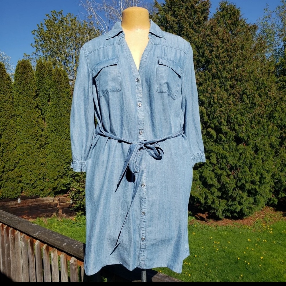 NY&Company Jean Dress